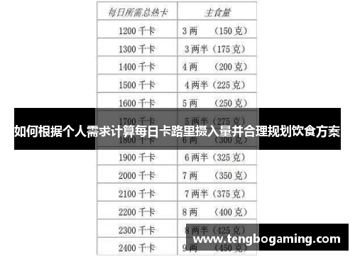 如何根据个人需求计算每日卡路里摄入量并合理规划饮食方案