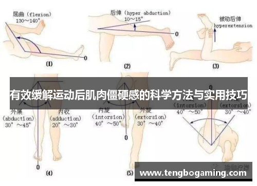 有效缓解运动后肌肉僵硬感的科学方法与实用技巧